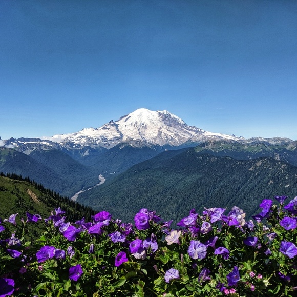 Meet your Posher, Susen - Picture 3 of 7